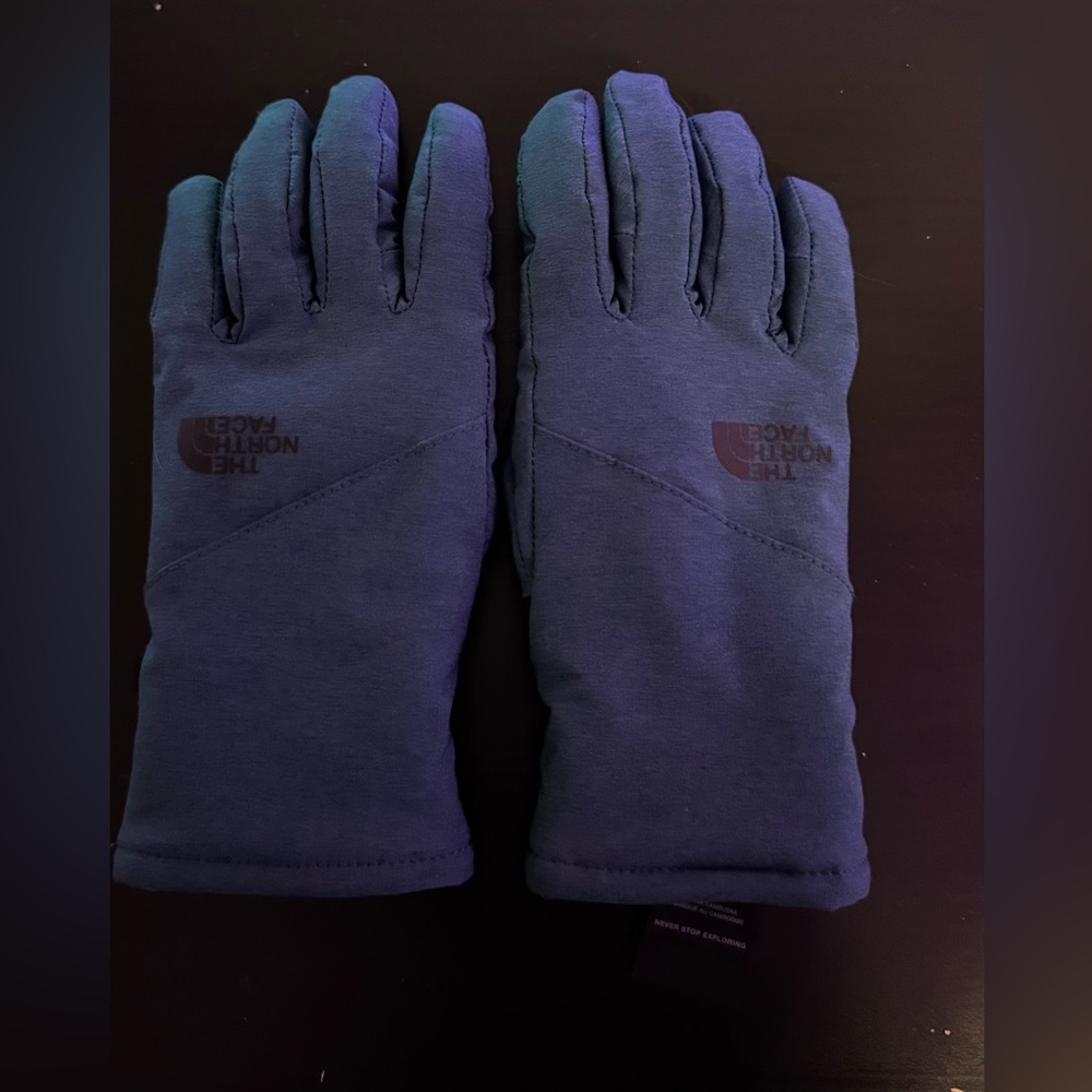 The North Face Shelbe Raschel Etip Gloves Size XS